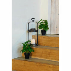 Decorative Plant DKD Home Decor PVC polypropylene 20 x 20 x 30 cm-1