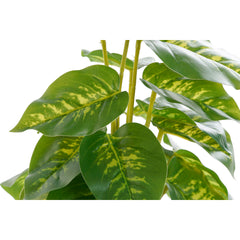 Decorative Plant DKD Home Decor PVC polypropylene 20 x 20 x 30 cm-3