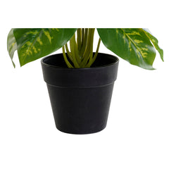 Decorative Plant DKD Home Decor PVC polypropylene 20 x 20 x 30 cm-2