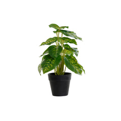 Decorative Plant DKD Home Decor PVC polypropylene 20 x 20 x 30 cm-0