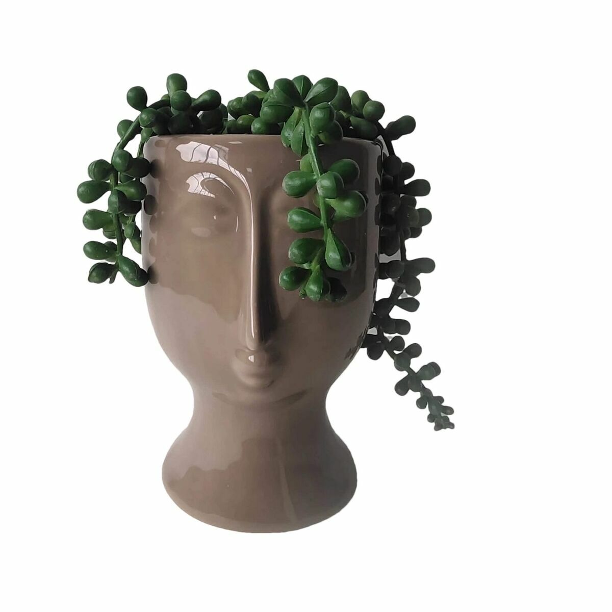 Decorative Plant DKD Home Decor Ceramic PE (11 x 10 x 16 cm)-0