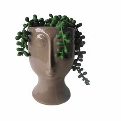 Decorative Plant DKD Home Decor Ceramic PE (11 x 10 x 16 cm)-0