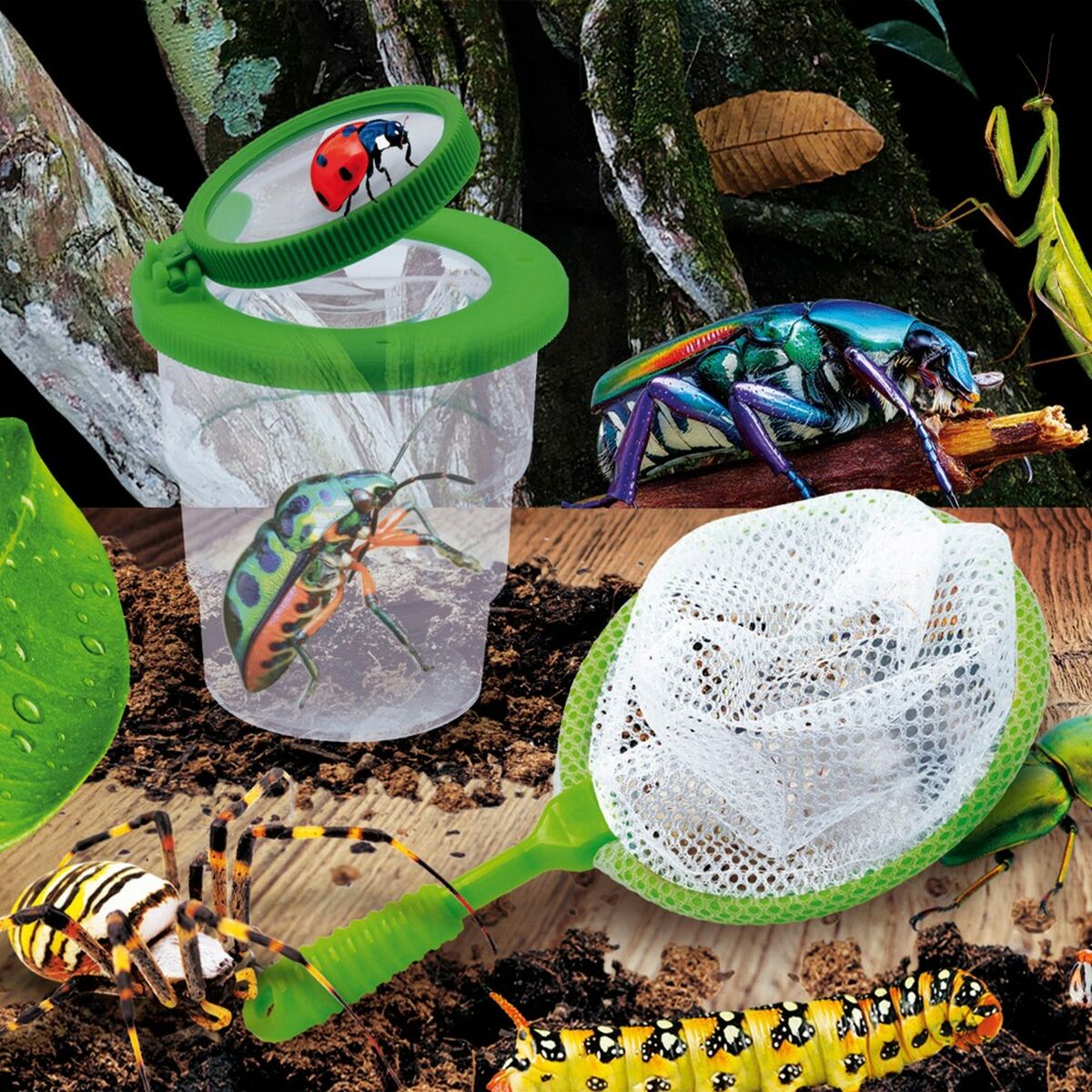 Science Game Lisciani Giochi Insectos ES (6 Units)-2