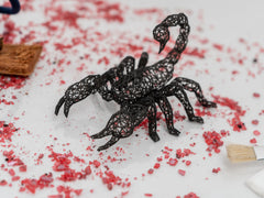 Scorpio Zodiac Decor for Astrology Enthusiasts-1