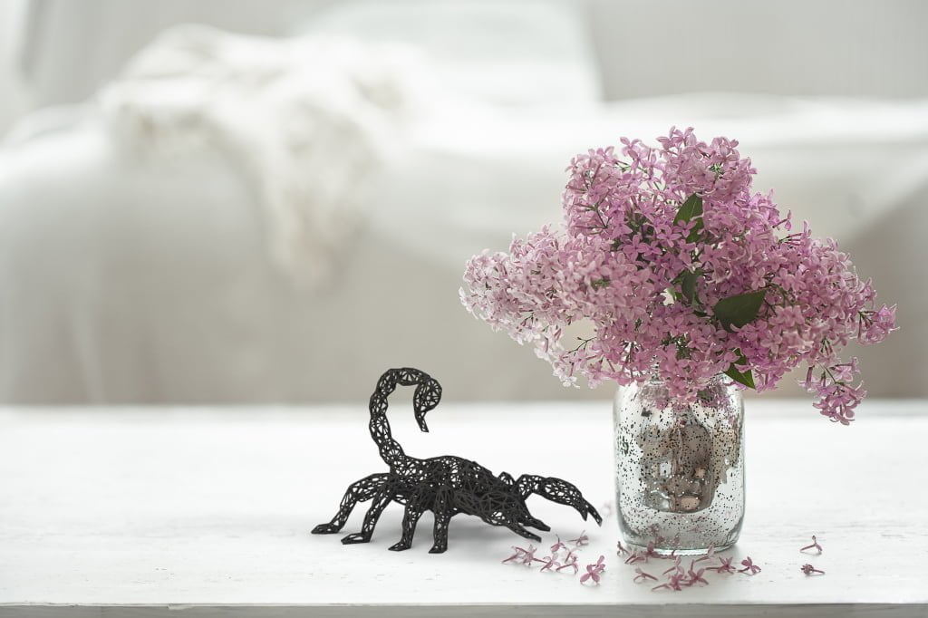 Scorpio Zodiac Decor for Astrology Enthusiasts-5